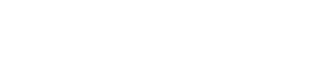FaceandForm_Logo_weiss Logo der Praxis für plastische- und ästhetische Chirurgie Face & Form, Dr. Willkomm
